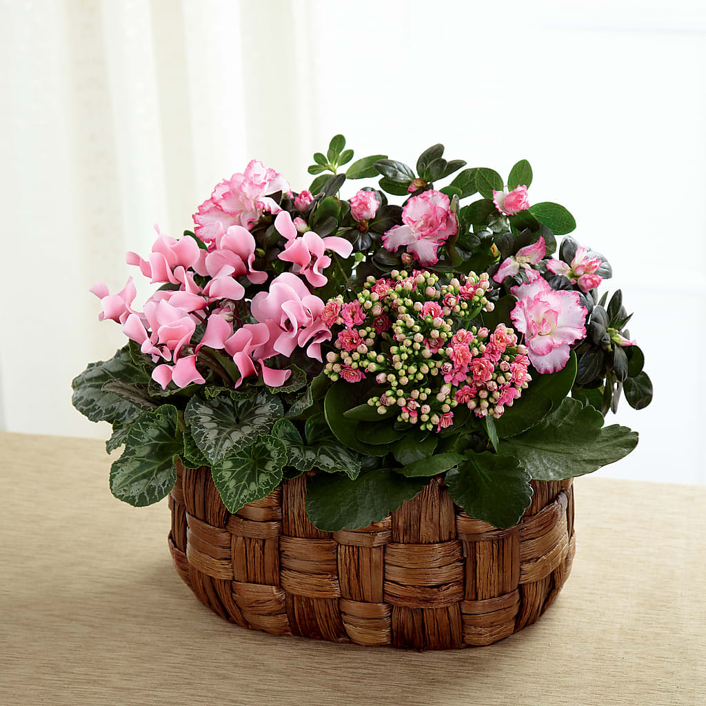 Pink Assortment – Blossom Shop, Traverse City MI
