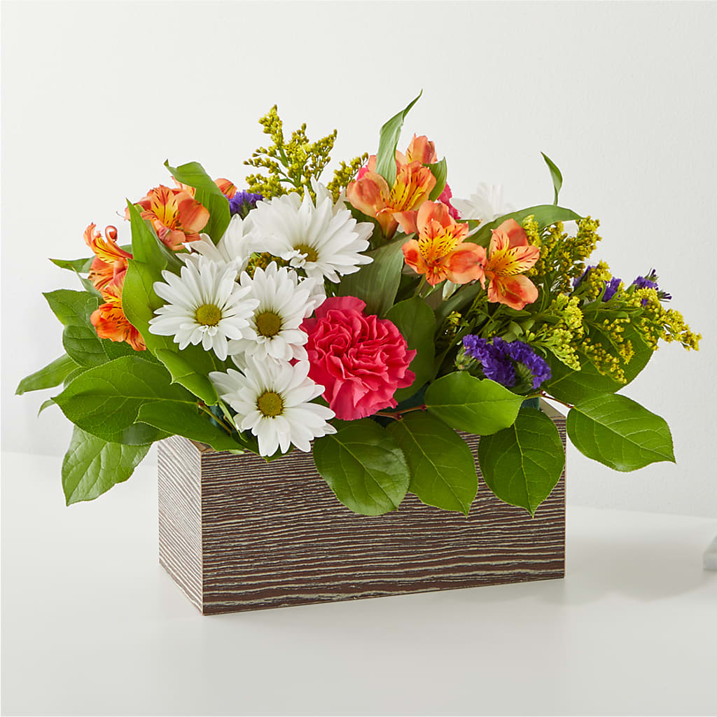 Oopsie Daisy Box Bouquet – Blossom Shop, Traverse City MI