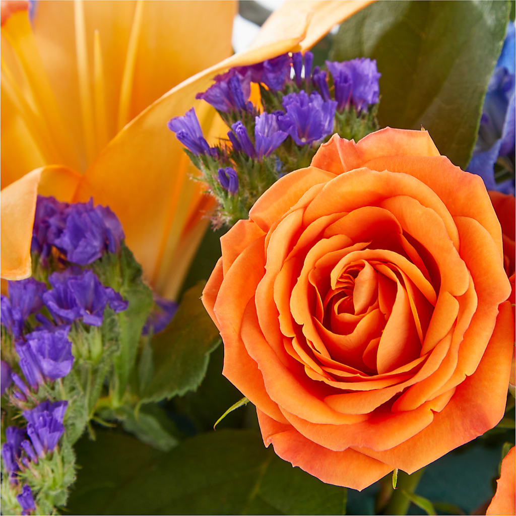 Radiant Citrus Box Bouquet – Blossom Shop, Traverse City MI