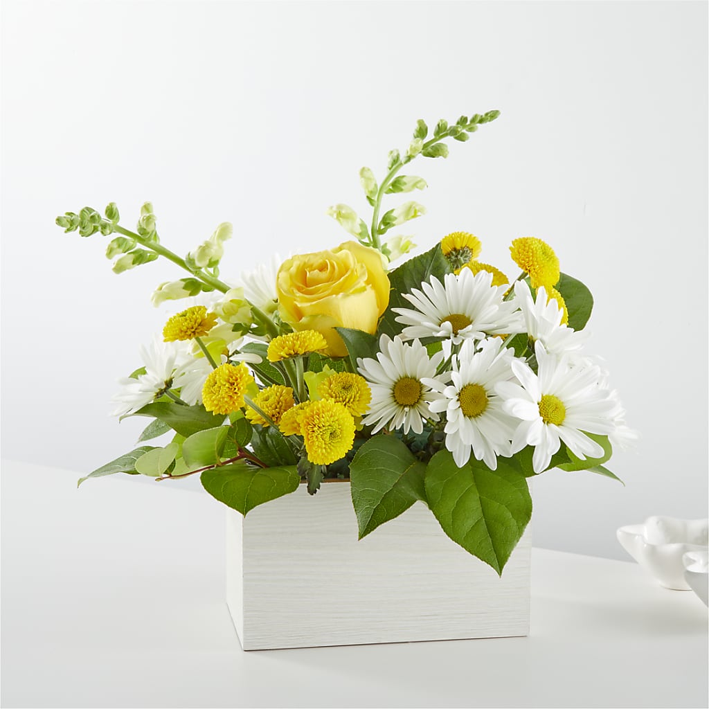 Sun Salutation Box Bouquet – Blossom Shop, Traverse City MI