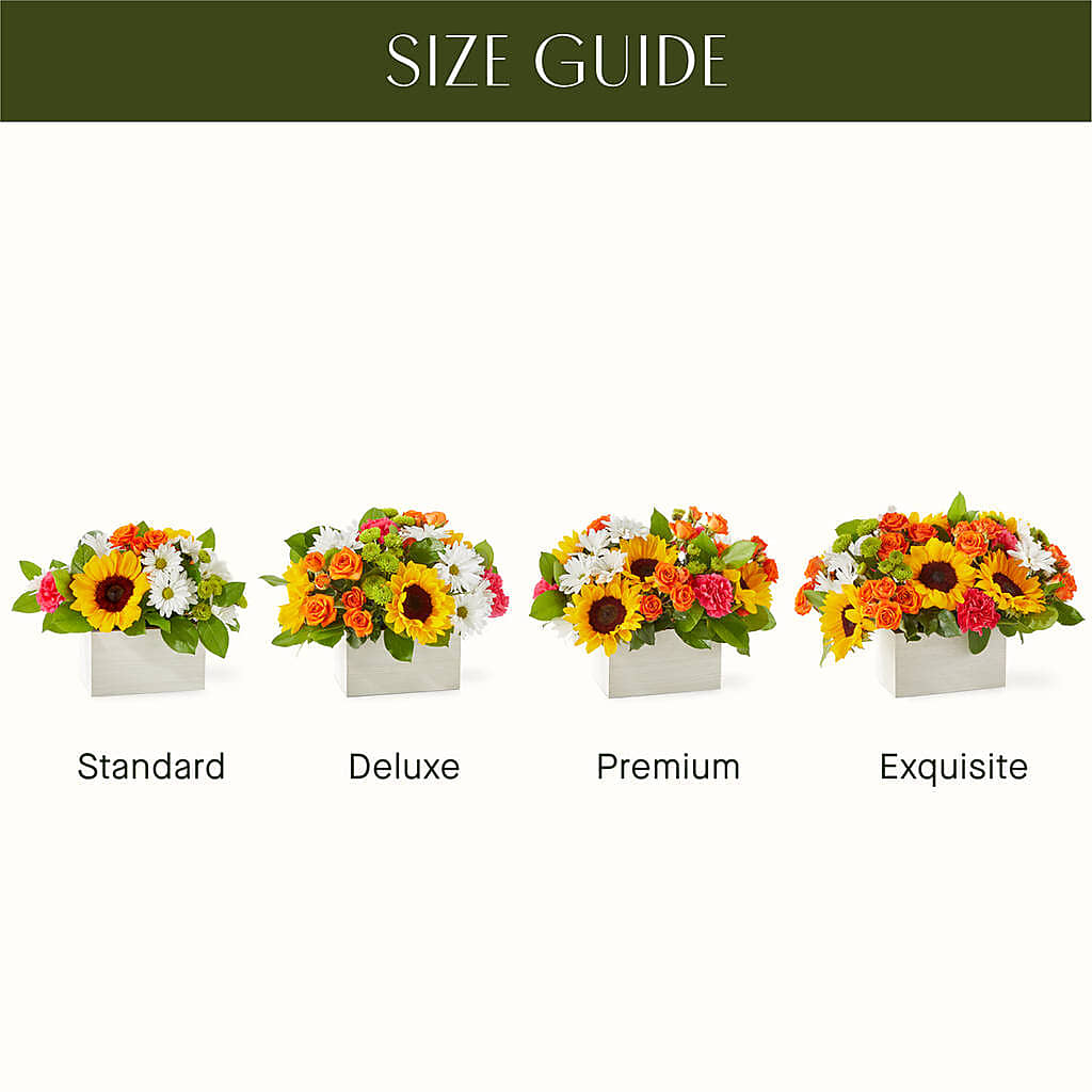 Sun-drenched Blooms Box Bouquet – Blossom Shop, Traverse City MI