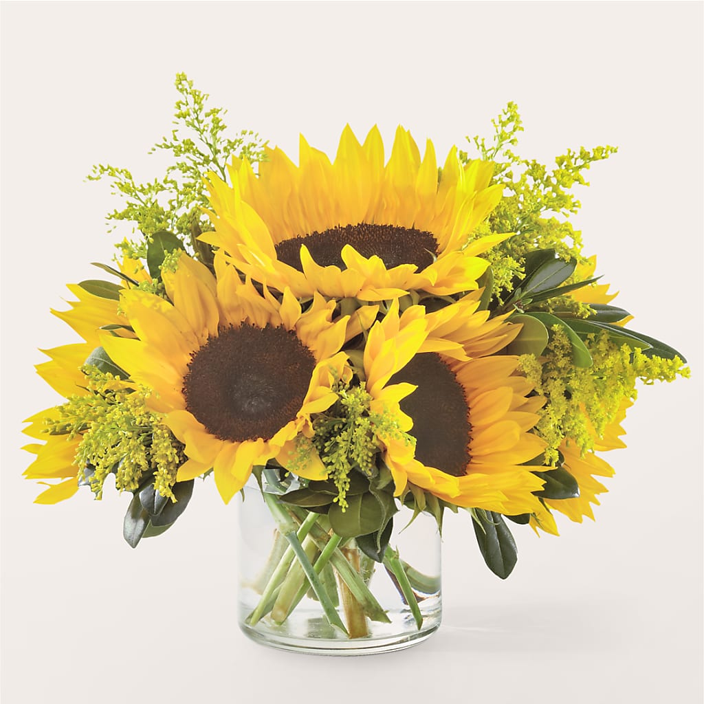 Beaming Sunflower Bouquet – Blossom Shop, Traverse City MI
