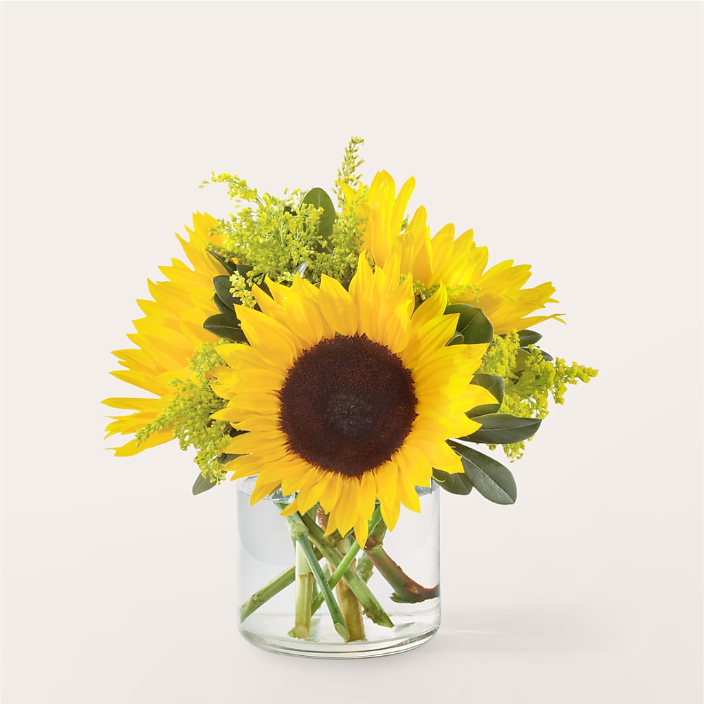 Beaming Sunflower Bouquet – Blossom Shop, Traverse City MI