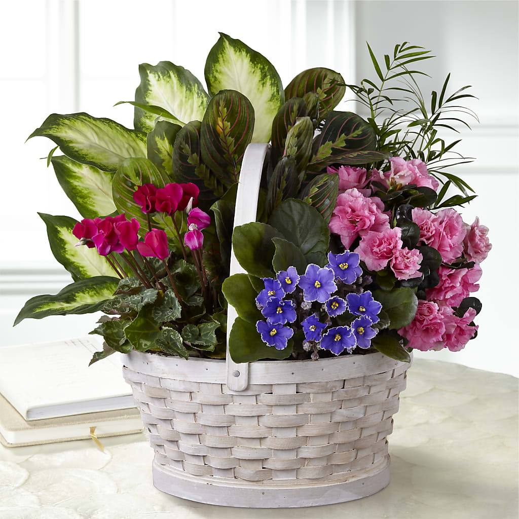 Peaceful Garden Planter – Blossom Shop, Traverse City MI