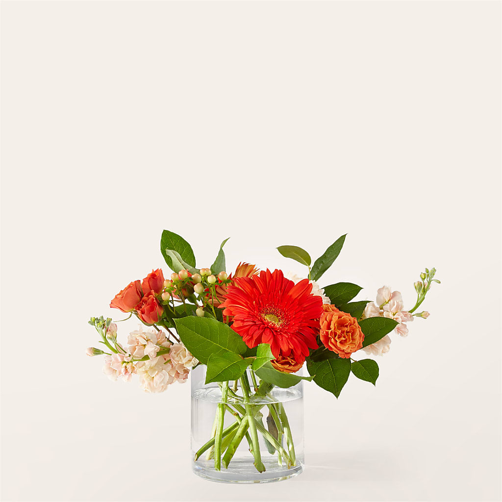 Paloma Please Bouquet – Blossom Shop, Traverse City MI