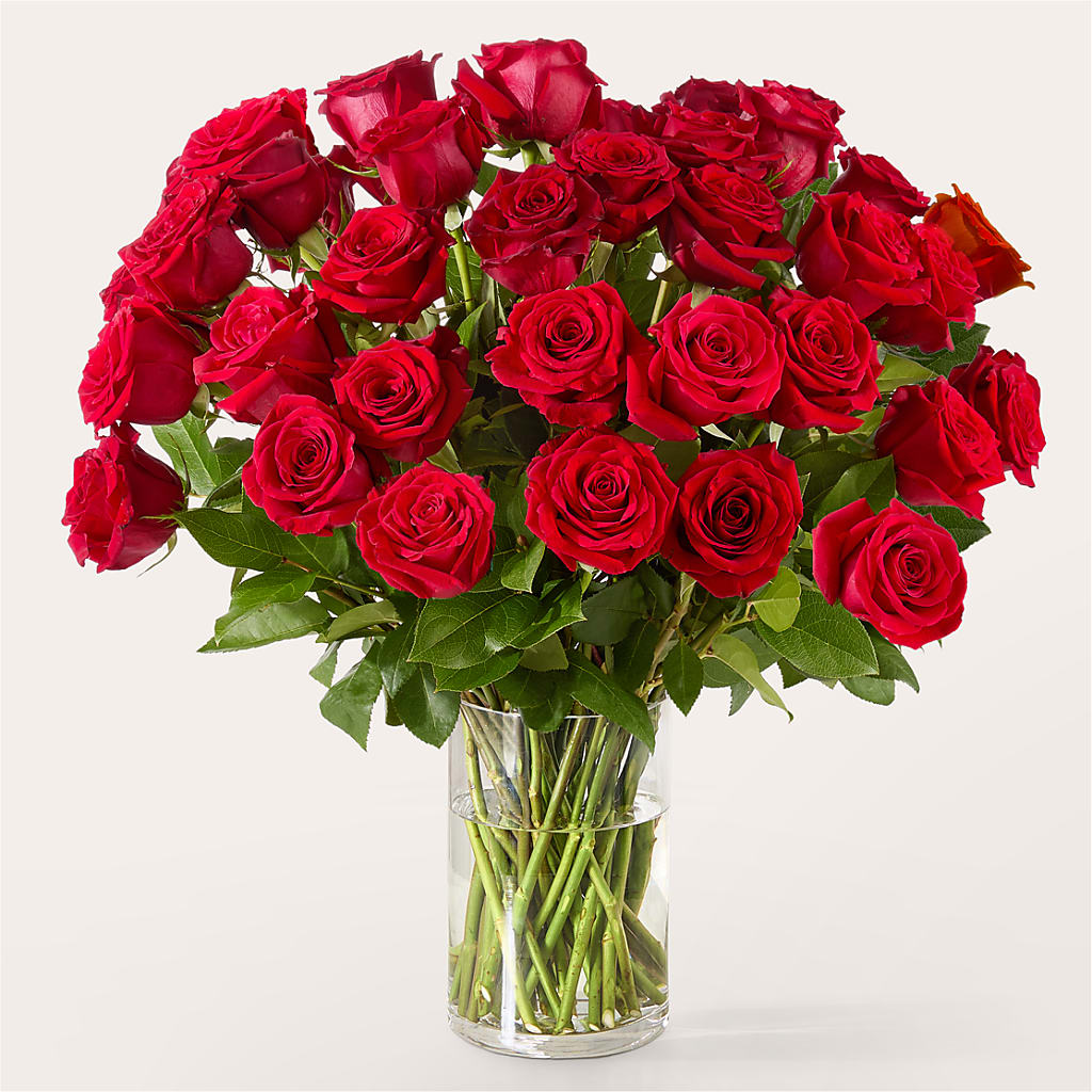 The One Red Rose Bouquet – Blossom Shop, Traverse City MI