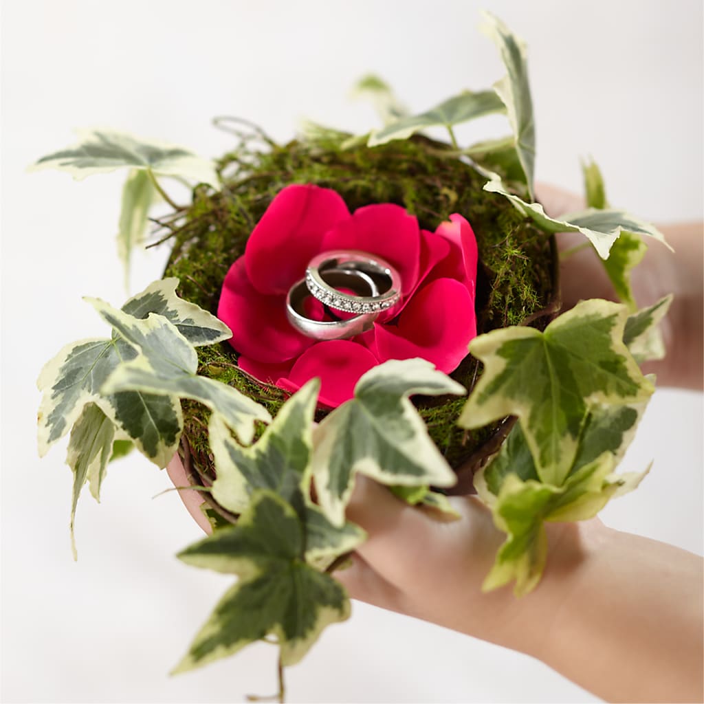 Lila Rose Ring Nest – Blossom Shop, Traverse City MI