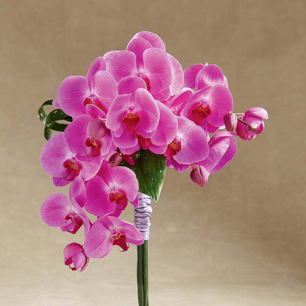 Glorious Bouquet – Blossom Shop, Traverse City MI