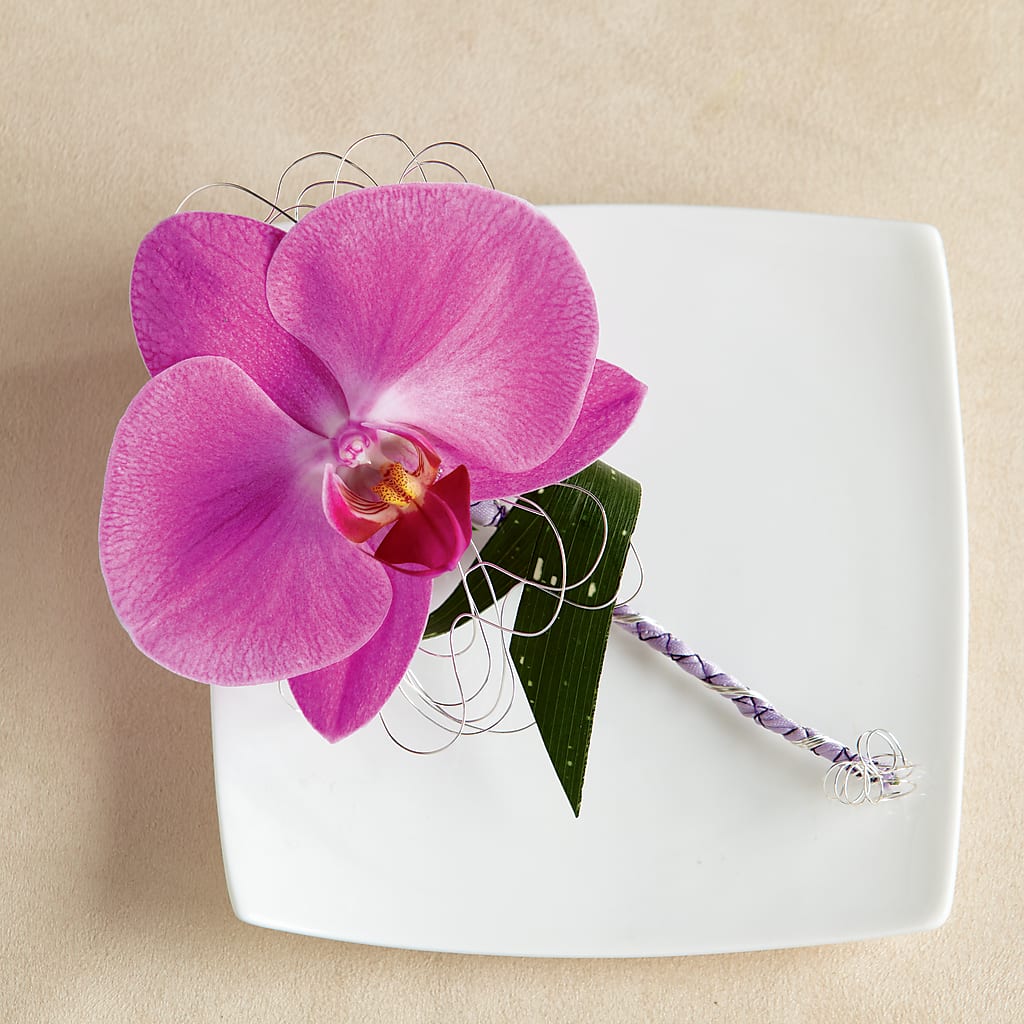 Glorious Boutonniere – Blossom Shop, Traverse City MI