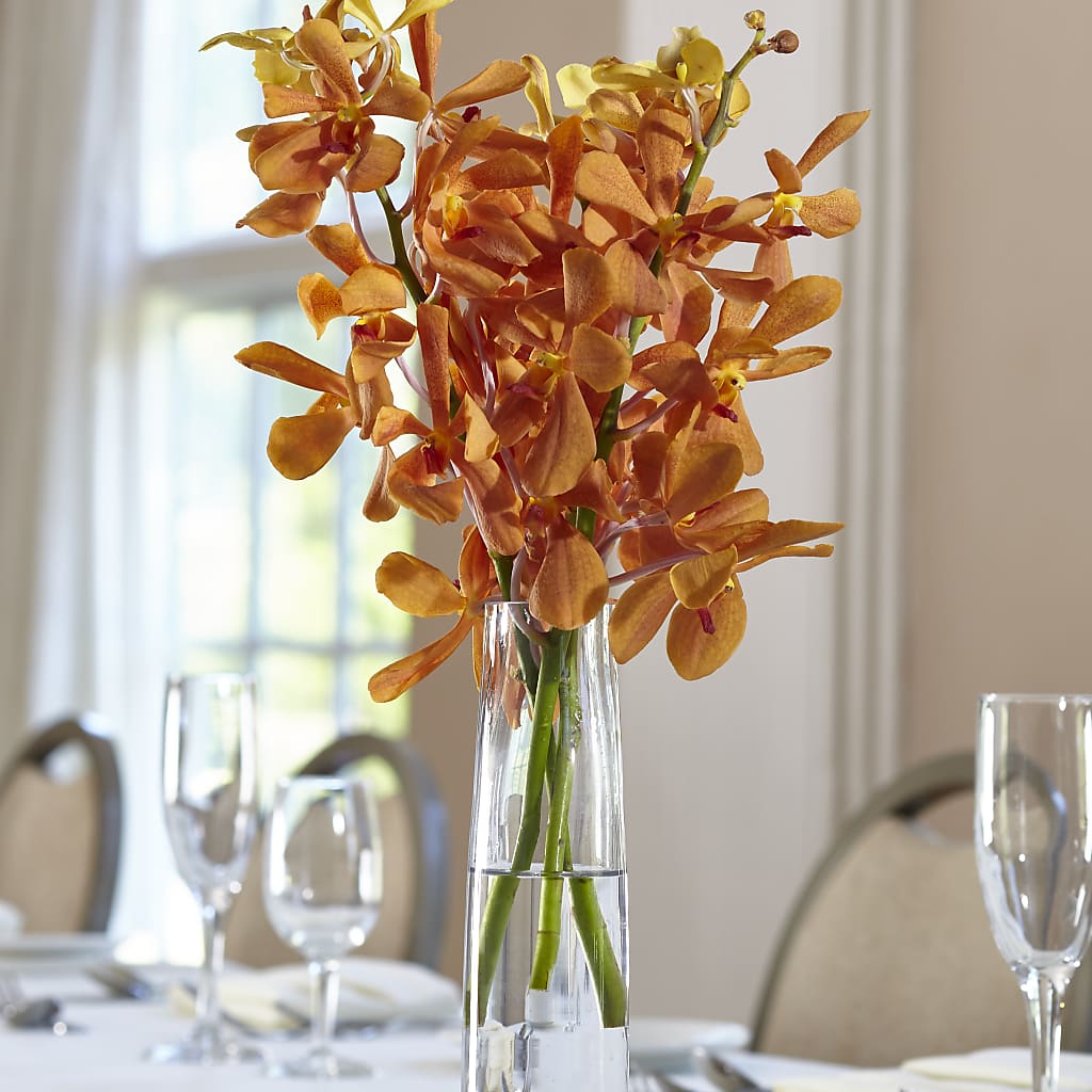 Orange Mokara Bud Vase – Blossom Shop, Traverse City MI