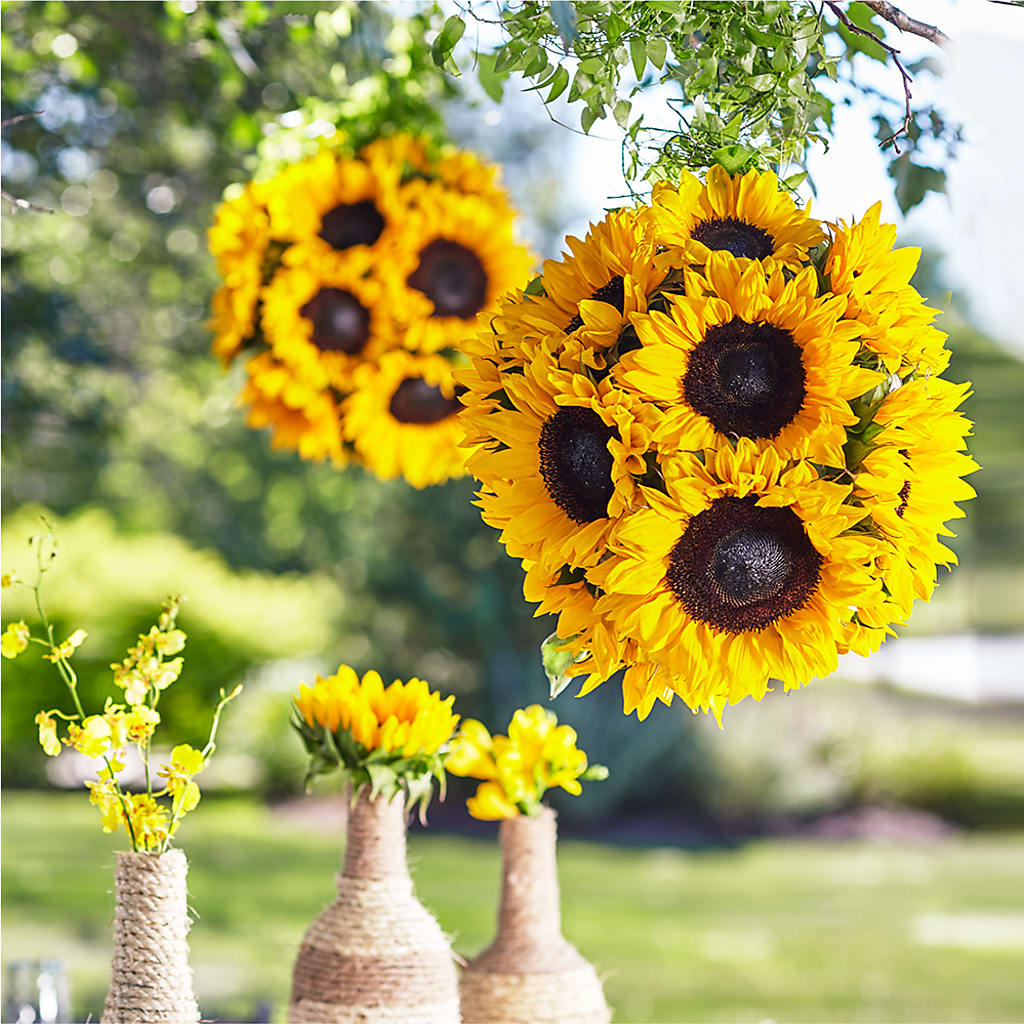 Sublime Garden Hanging Arrangement – Blossom Shop, Traverse City MI