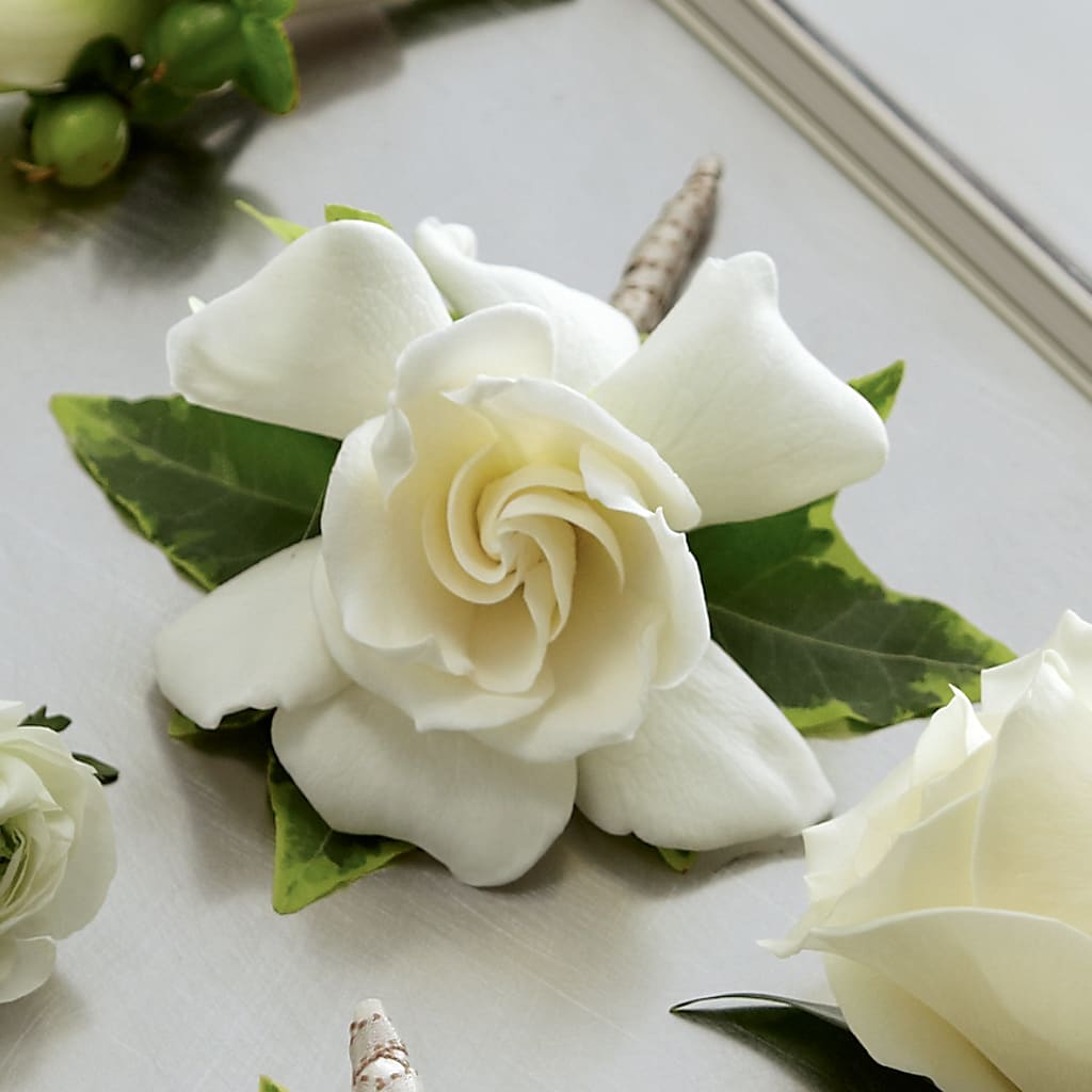 Gardenia Boutonniere – Blossom Shop, Traverse City MI