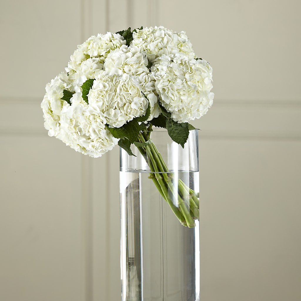 White Hydrangea Hand-Tied Bouquet – Blossom Shop, Traverse City MI