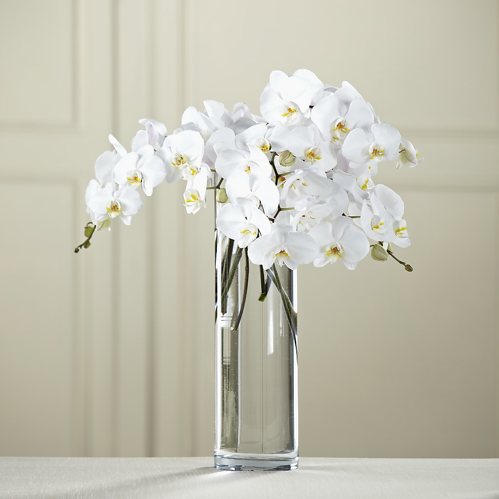 White Phalaenopsis Bouquet – Blossom Shop, Traverse City MI