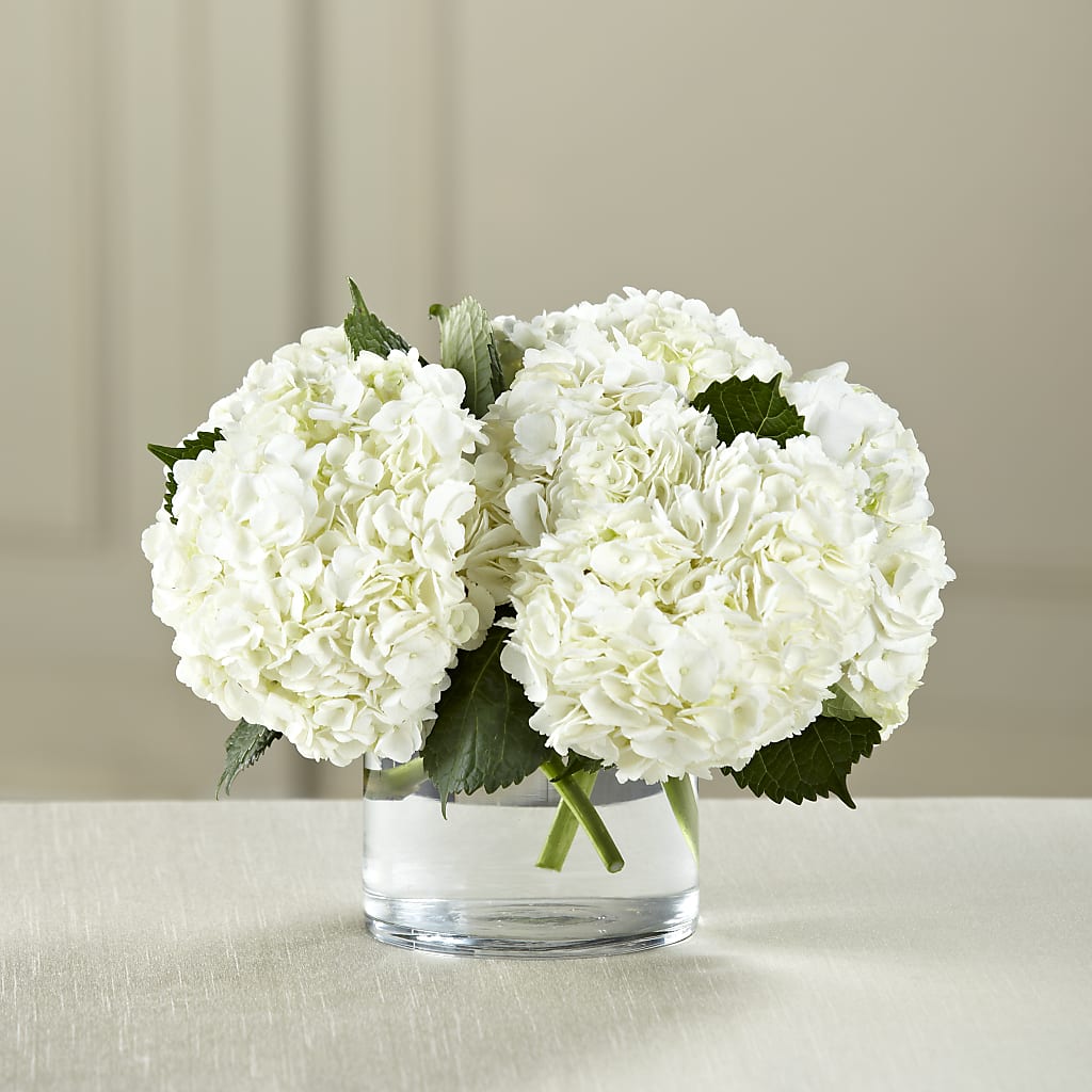 White Hydrangea Bouquet – Blossom Shop, Traverse City MI