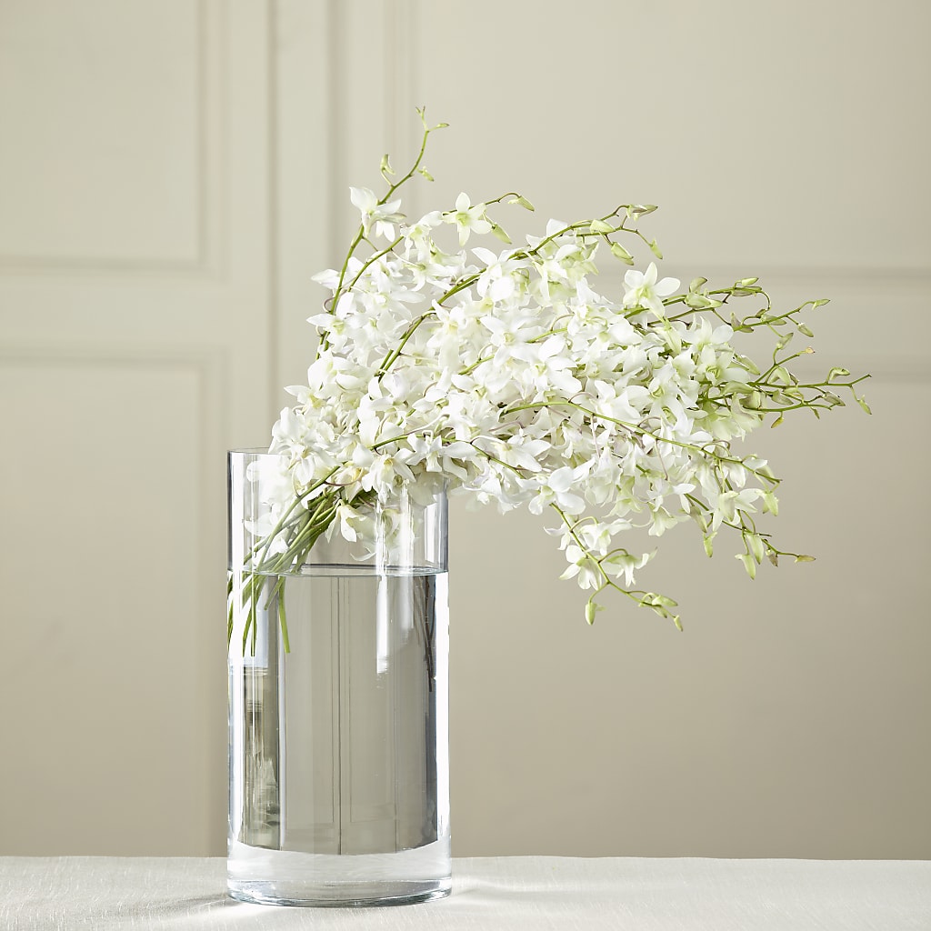 White Dendrobium Bouquet – Blossom Shop, Traverse City MI
