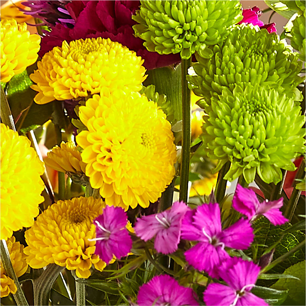 Bold & Bright – A Florist Original –  Blossom Shop, Traverse City MI
