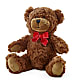 Adorable Plush Bear –  Blossom Shop, Traverse City MI