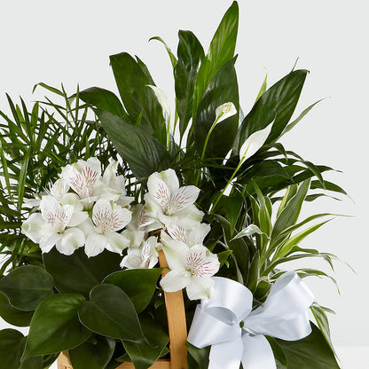 Peace & Serenity Dishgarden –  Blossom Shop, Traverse City MI