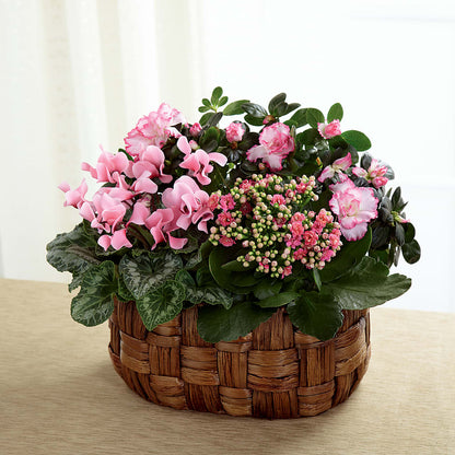 Pink Assortment –  Blossom Shop, Traverse City MI