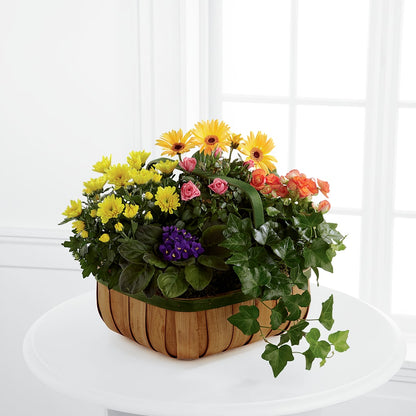 Gentle Blossoms Basket –  Blossom Shop, Traverse City MI