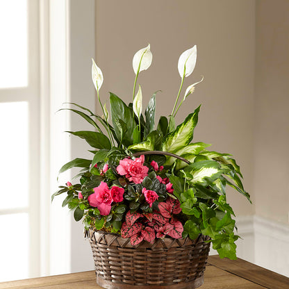 Dream in Pink Dishgarden –  Blossom Shop, Traverse City MI