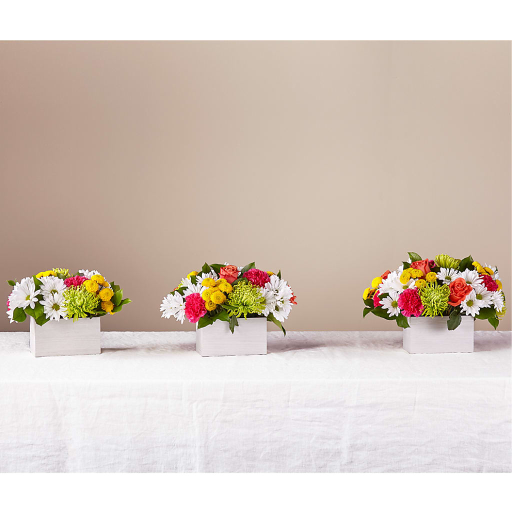 Sorbet Bouquet –  Blossom Shop, Traverse City MI