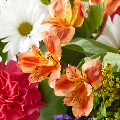 Oopsie Daisy Box Bouquet –  Blossom Shop, Traverse City MI