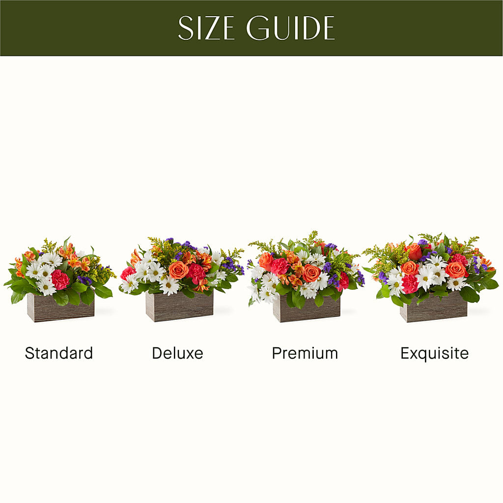 Oopsie Daisy Box Bouquet –  Blossom Shop, Traverse City MI