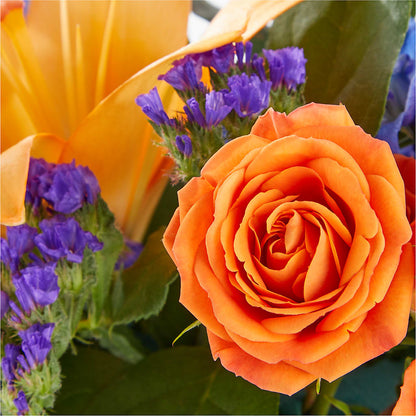Radiant Citrus Box Bouquet –  Blossom Shop, Traverse City MI