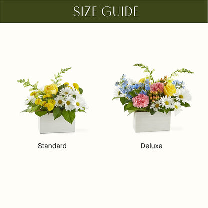 Sun Salutation Box Bouquet –  Blossom Shop, Traverse City MI