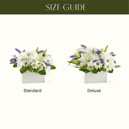 Beyond Blue Box Bouquet –  Blossom Shop, Traverse City MI