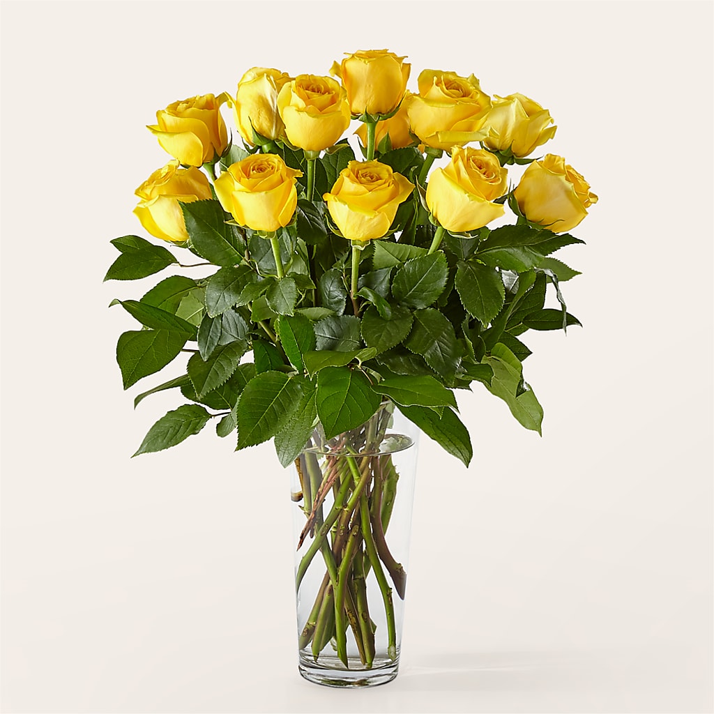 Long Stem Yellow Rose Bouquet –  Blossom Shop, Traverse City MI