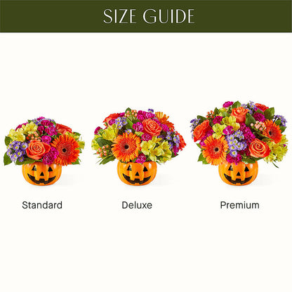 Tricks & Treats Pumpkin –  Blossom Shop, Traverse City MI
