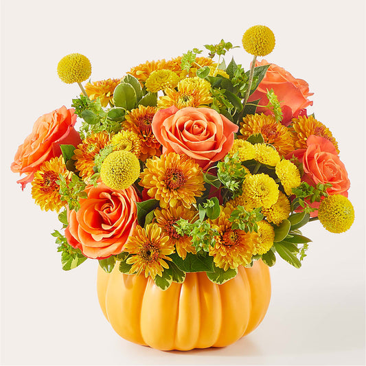 Gourdgeous Pumpkin –  Blossom Shop, Traverse City MI