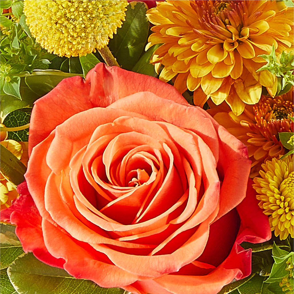 Gourdgeous Pumpkin –  Blossom Shop, Traverse City MI