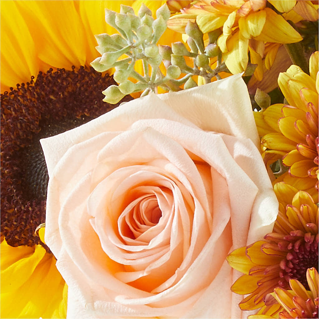 Pumpkin to Talk About Bouquet –  Blossom Shop, Traverse City MI