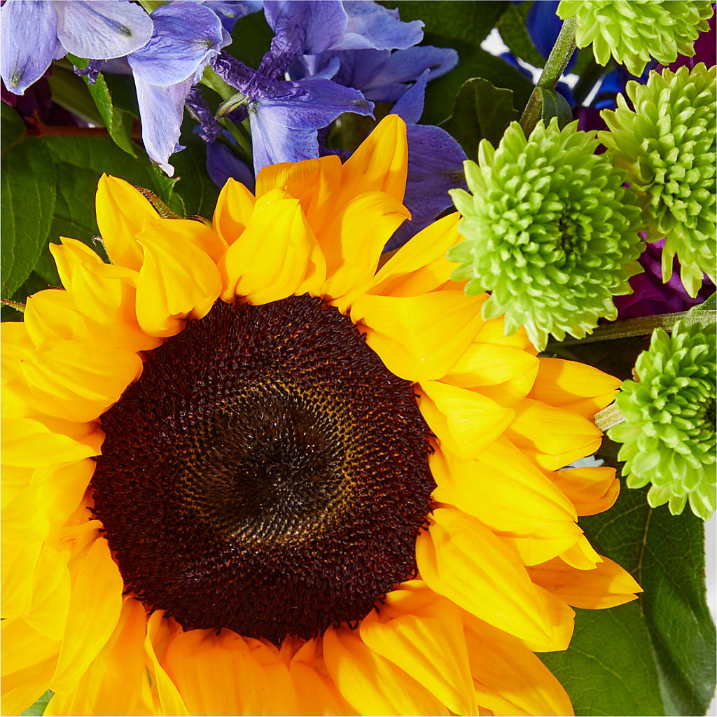 Catching Rays Bouquet –  Blossom Shop, Traverse City MI