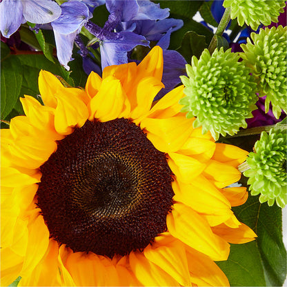 Catching Rays Bouquet –  Blossom Shop, Traverse City MI
