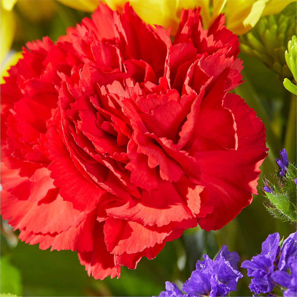 Brighter Days Bouquet –  Blossom Shop, Traverse City MI