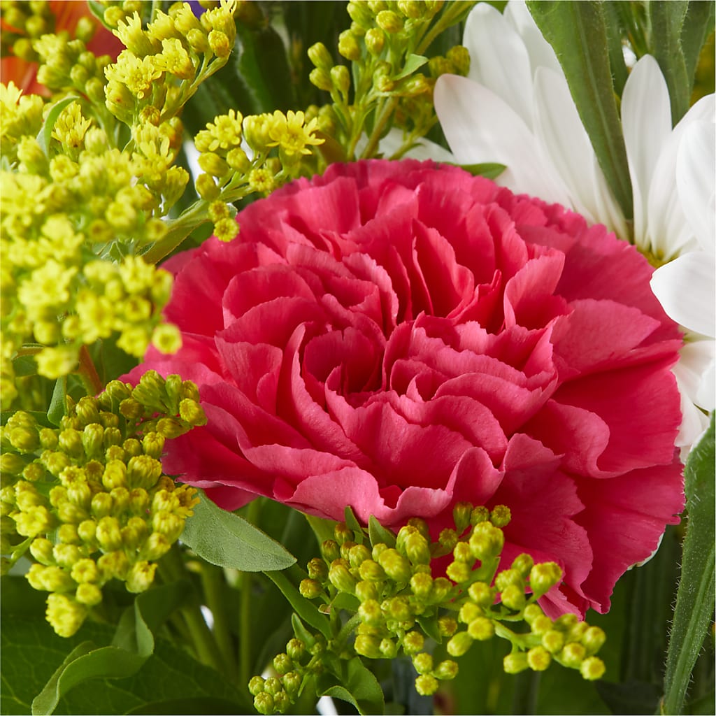 Oopsie Daisy Bouquet –  Blossom Shop, Traverse City MI