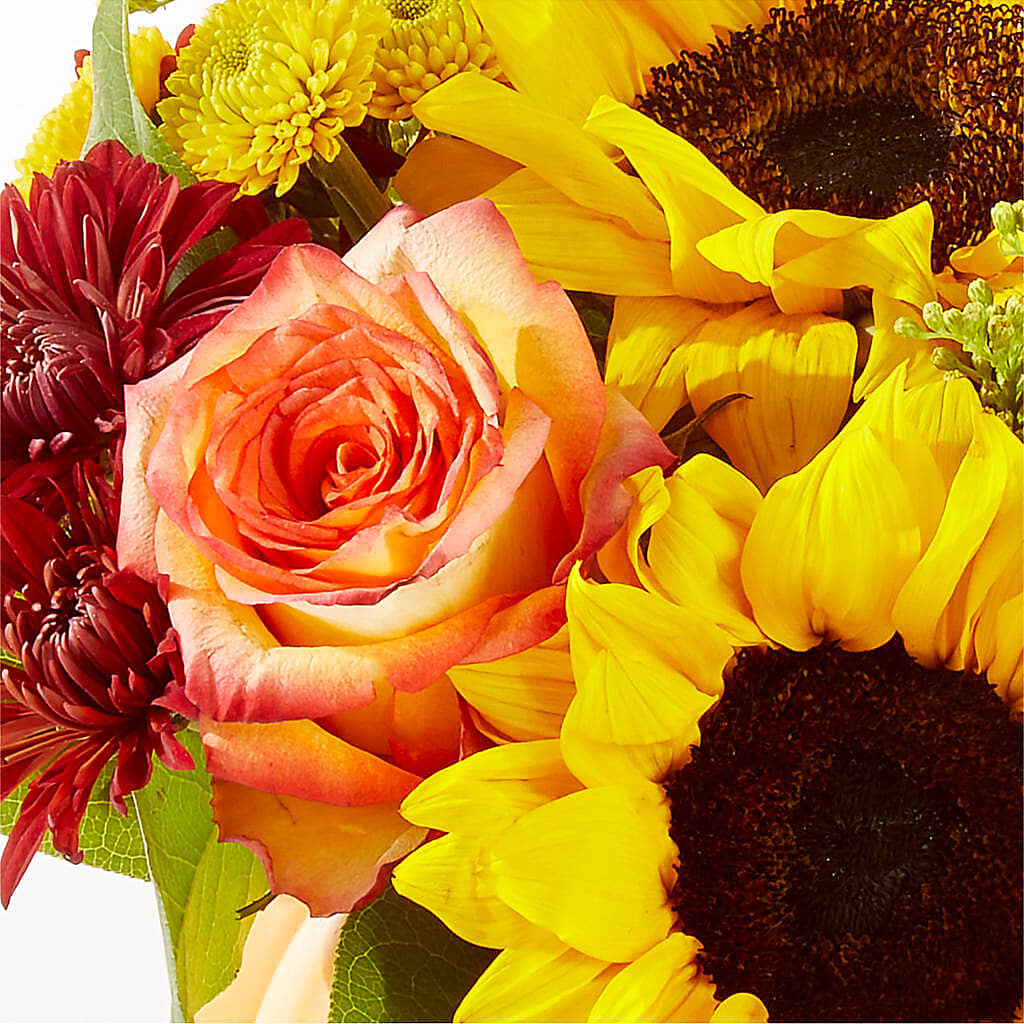 Golden Gourd Pumpkin Bouquet –  Blossom Shop, Traverse City MI