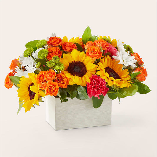 Sun-drenched Blooms Box Bouquet –  Blossom Shop, Traverse City MI