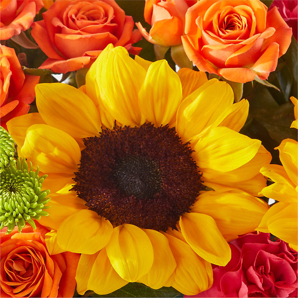 Sun-drenched Blooms Box Bouquet –  Blossom Shop, Traverse City MI