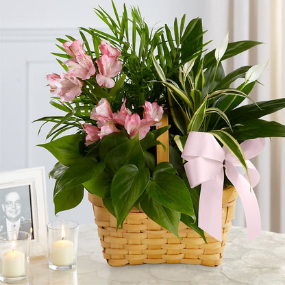 Living Spirit Dishgarden –  Blossom Shop, Traverse City MI