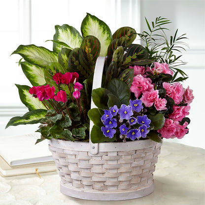 Peaceful Garden Planter –  Blossom Shop, Traverse City MI