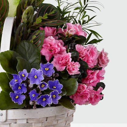 Peaceful Garden Planter –  Blossom Shop, Traverse City MI