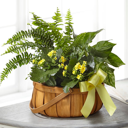 Always Dear Dishgarden –  Blossom Shop, Traverse City MI