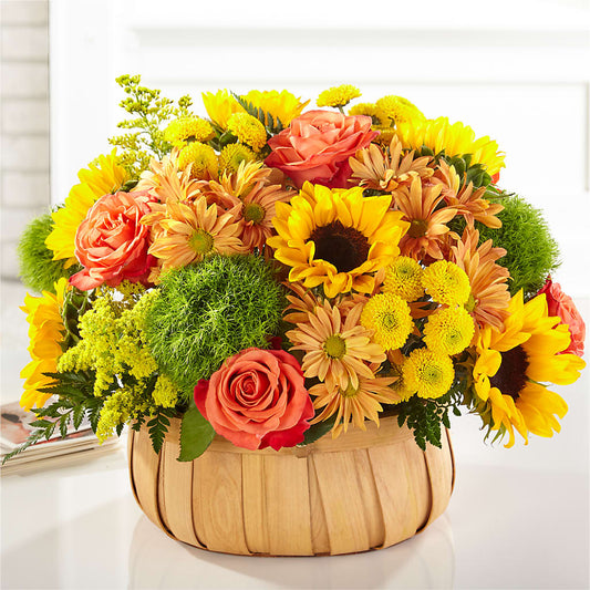 Harvest Sunflower Basket –  Blossom Shop, Traverse City MI