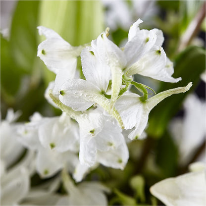 Classic Ivory – A Florist Original –  Blossom Shop, Traverse City MI